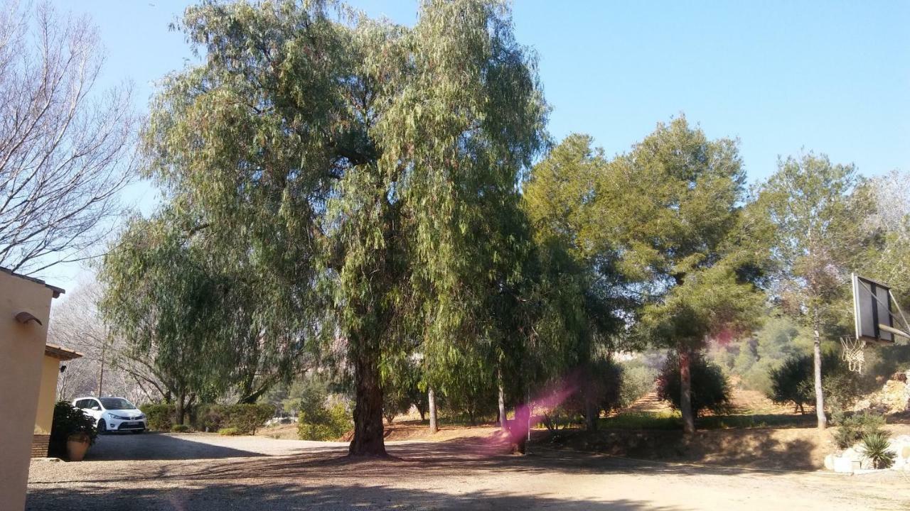 Casa Rural Mas Dels Frares Vakantiehuis